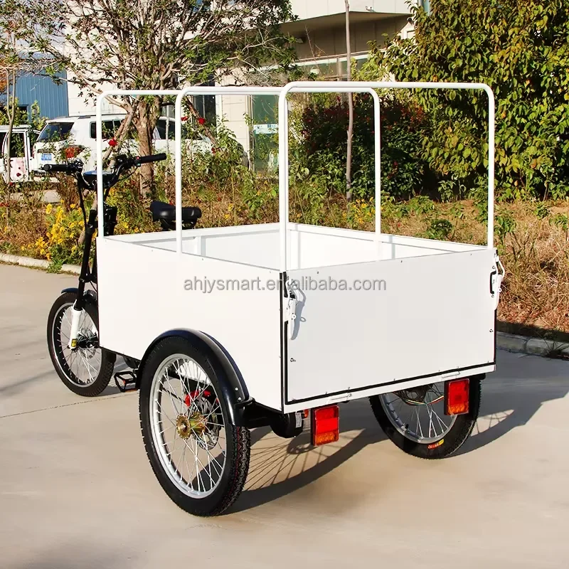 850W Electric Cargo Tricycle Heavy Duty Freight Bike Powerful Pedal Assist E Bike for Express Delivery and Large Load