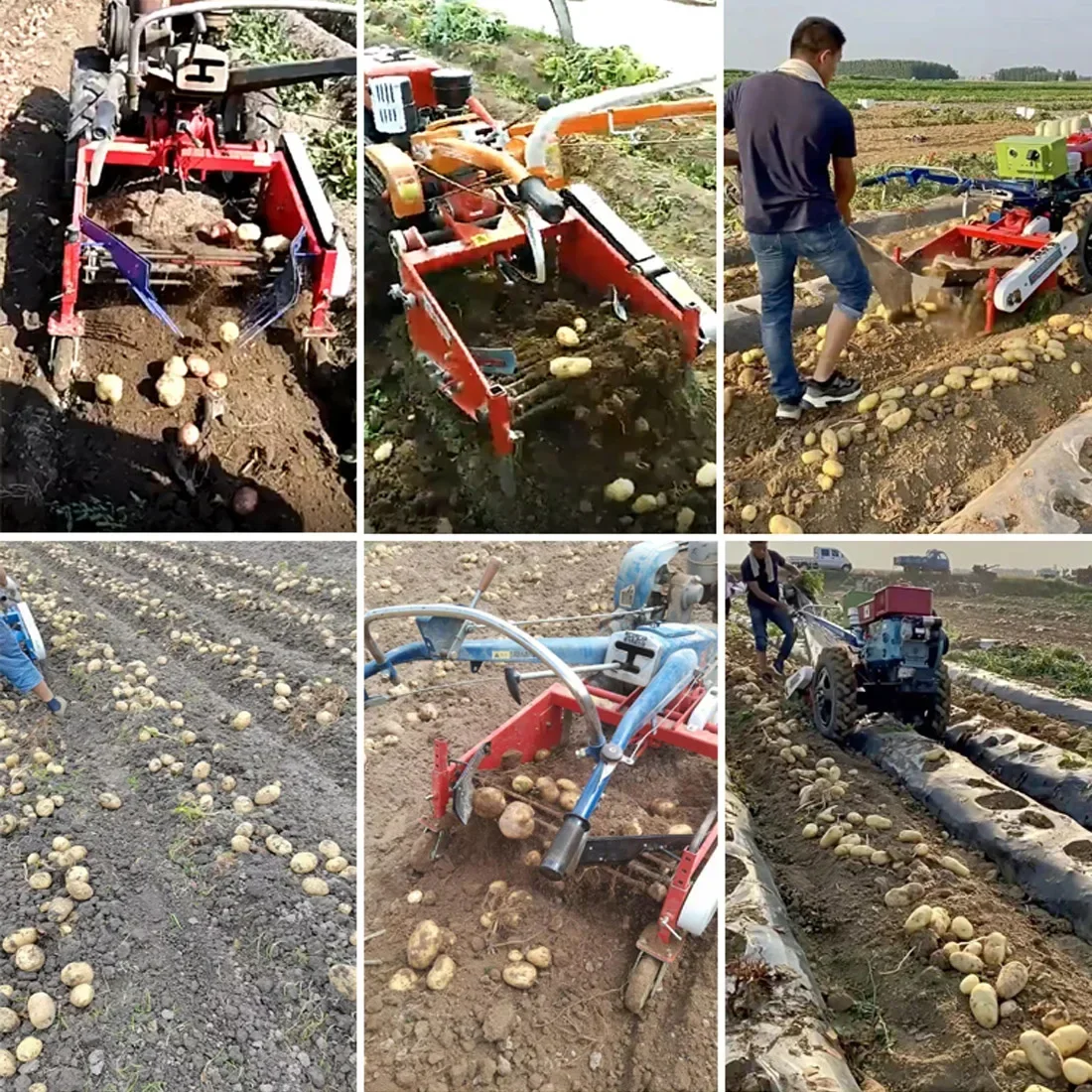 Sweet Potato Harvester Walking Tractor 101 Suitable For Potato Onion 151 Four-wheeled Small Garlic Harvester