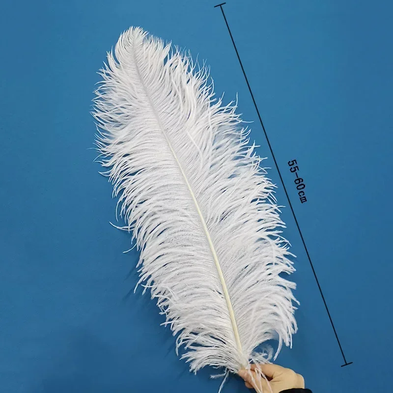 50pcs Materials Big White Ostrich Feather Craft 55-60cm/22-24 Inches Wedding Dress Table Decoration and Accessories Plumas