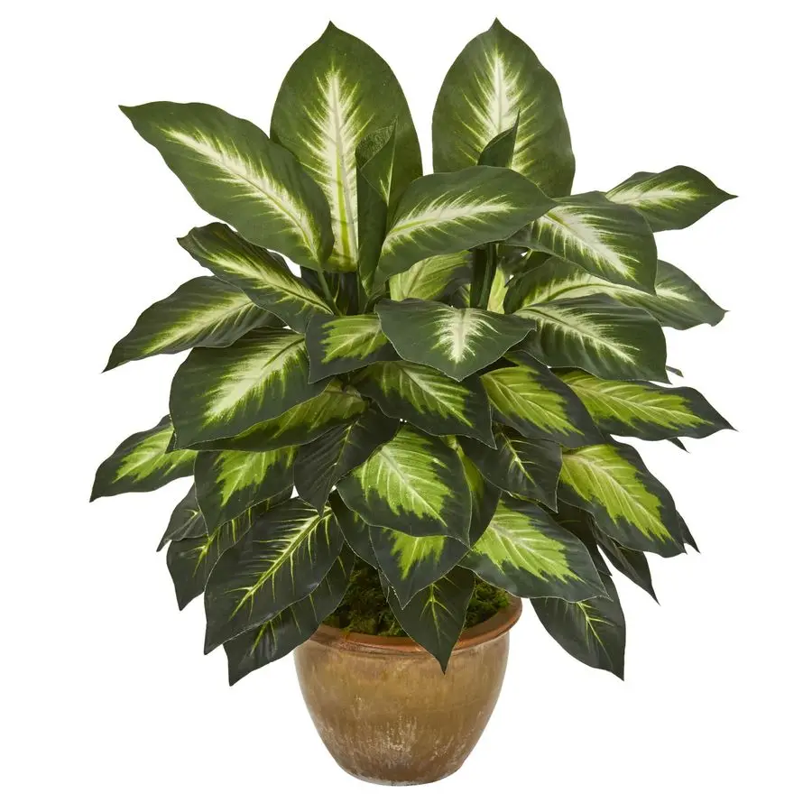 

Artificial Dieffenbachia Plant Faux Greenery in Ceramic Planter for Indoor Home Decor