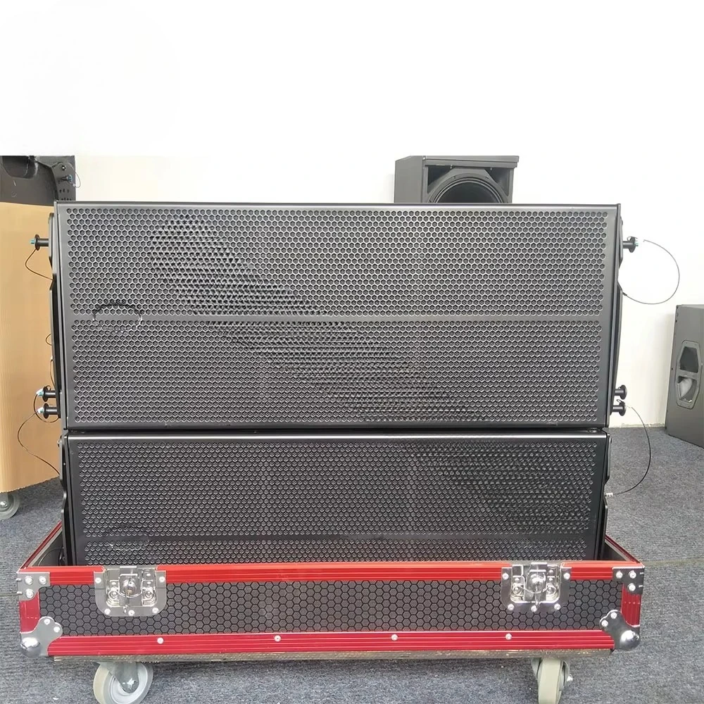 

Dual 10-Inch Professional Audio Video Line Array Speakers EARO-5A PA Systems with 600W Amplifier for Outdoor Use