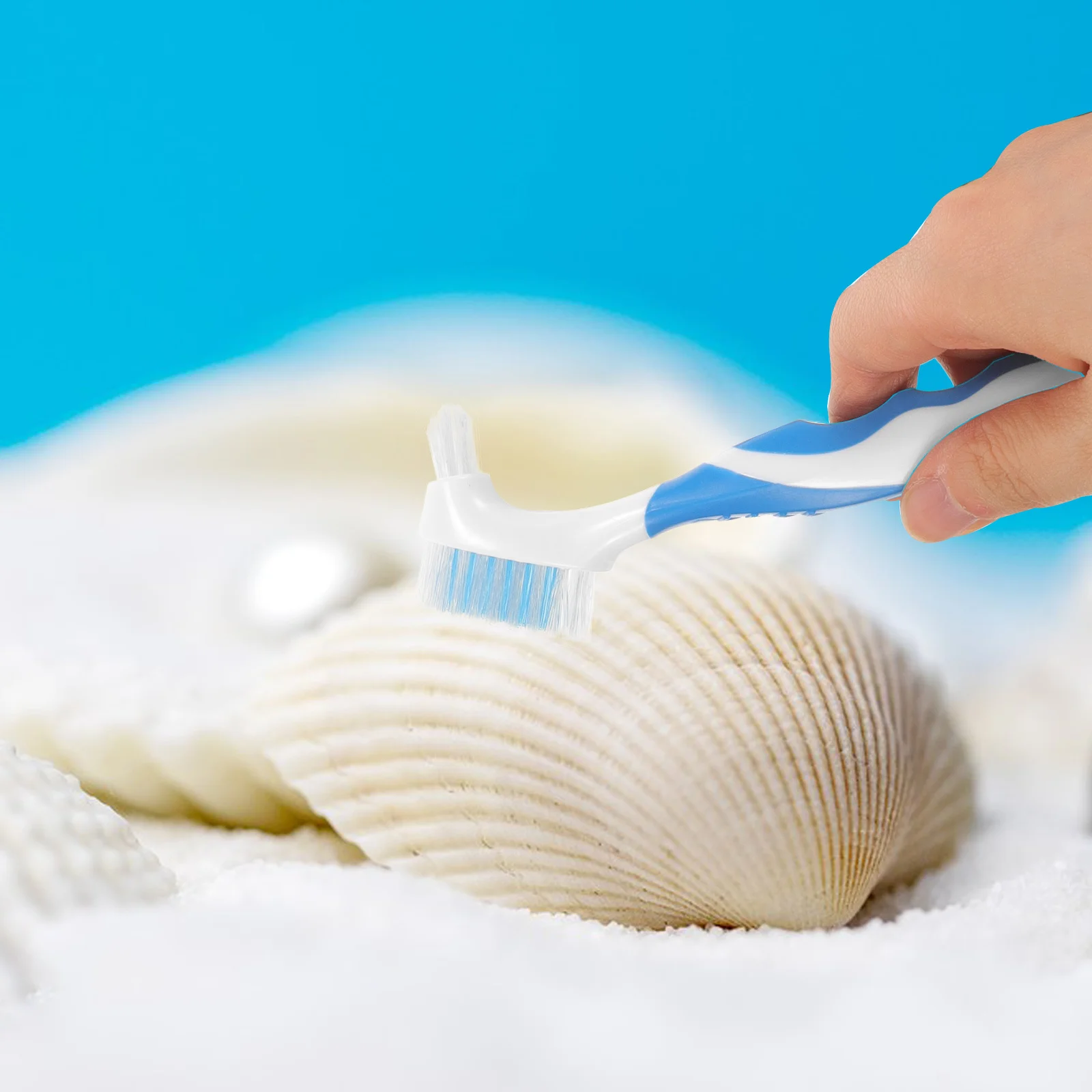 2Pcs Double-Side Tortoise Shell Cleaning Brush Strong Power Mud Dirt Remover Lightweight Compact Design for Aquarium Pets and