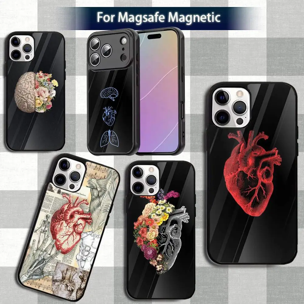 

A-AnatomyS MedicalS Phone Case For iPhone 13,12,15,17,11,16,14,Pro,Max,Plus,Mini,Magsafe,Magnetic Wireless Charging Case