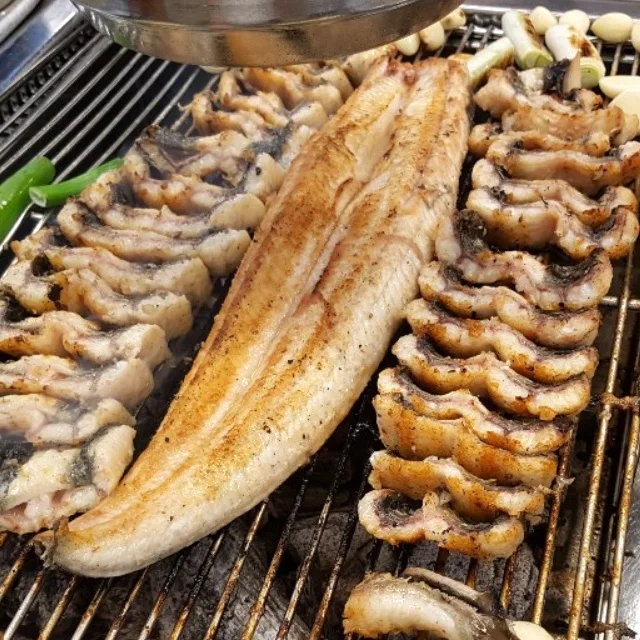 ثعبان البحر العشبي المحلي المضاد للبكتيريا جابونيكا 500 جرام