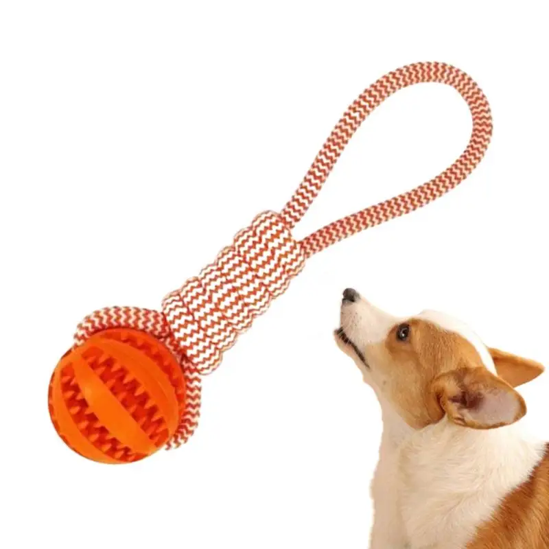 Dog Ball With Rope Dog Toy Ball On Rope Fetch Toy Interactive Dog Rope Tug Exercise Chew Training Toy For Grassland Home Beach