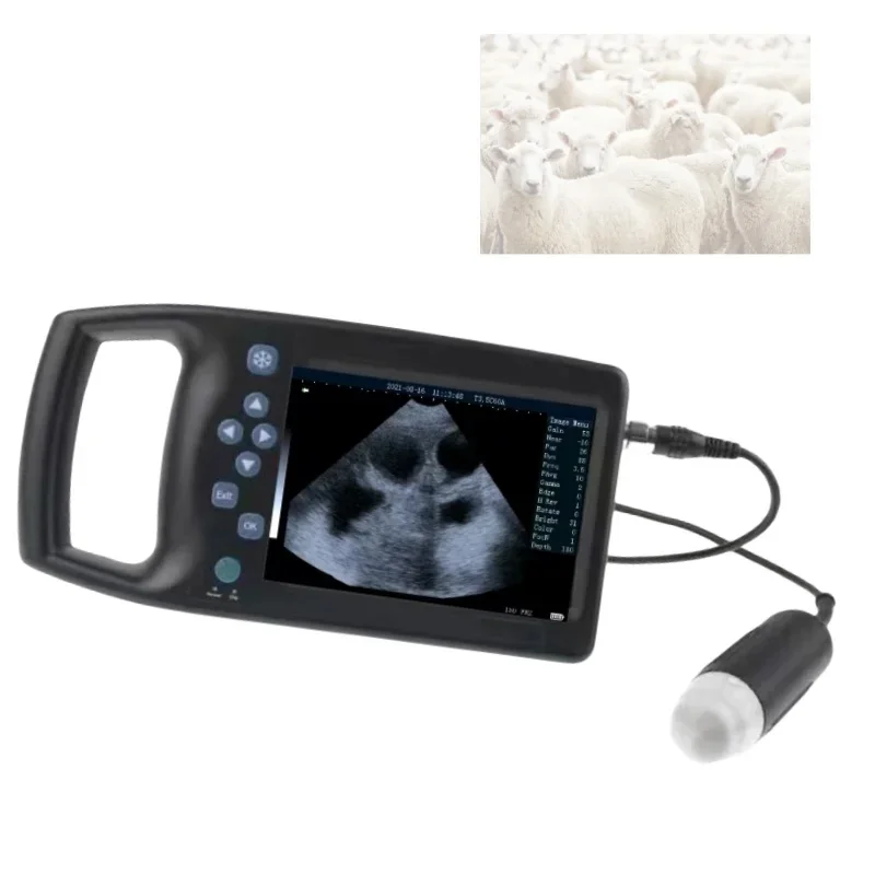 

Best Price Handheld Ultrasound Scanner Portable Veterinary Ultrasound Machine