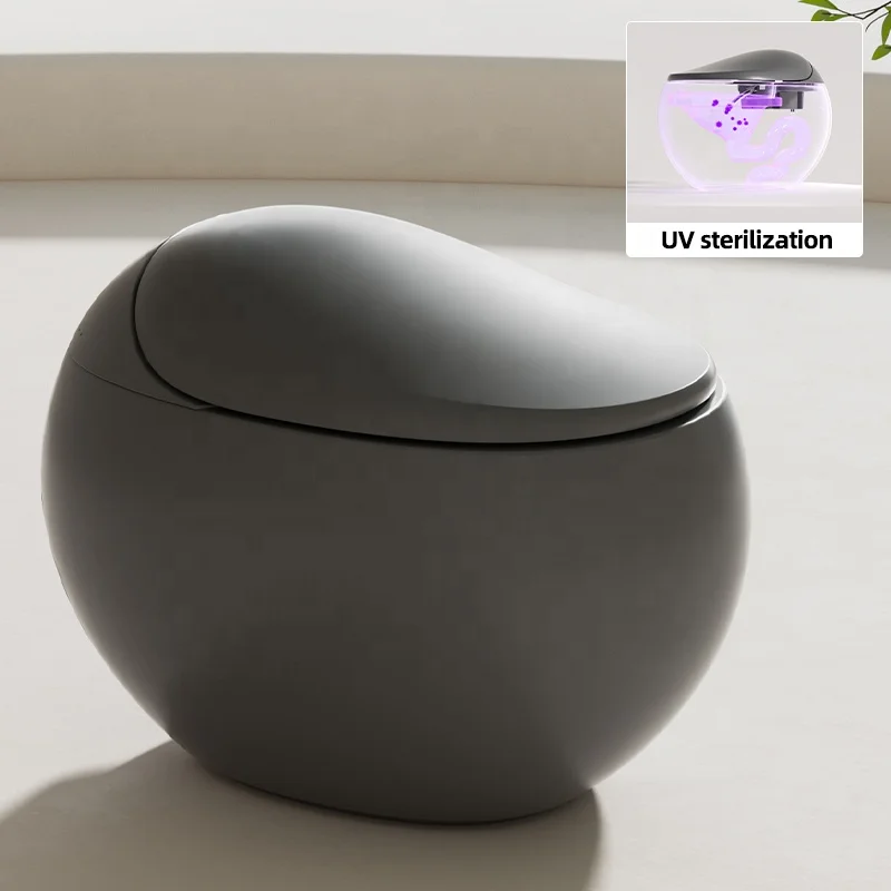 Modern smart toilet bidet gray egg-shaped s-trap automatic remote control and AI voice control toilet