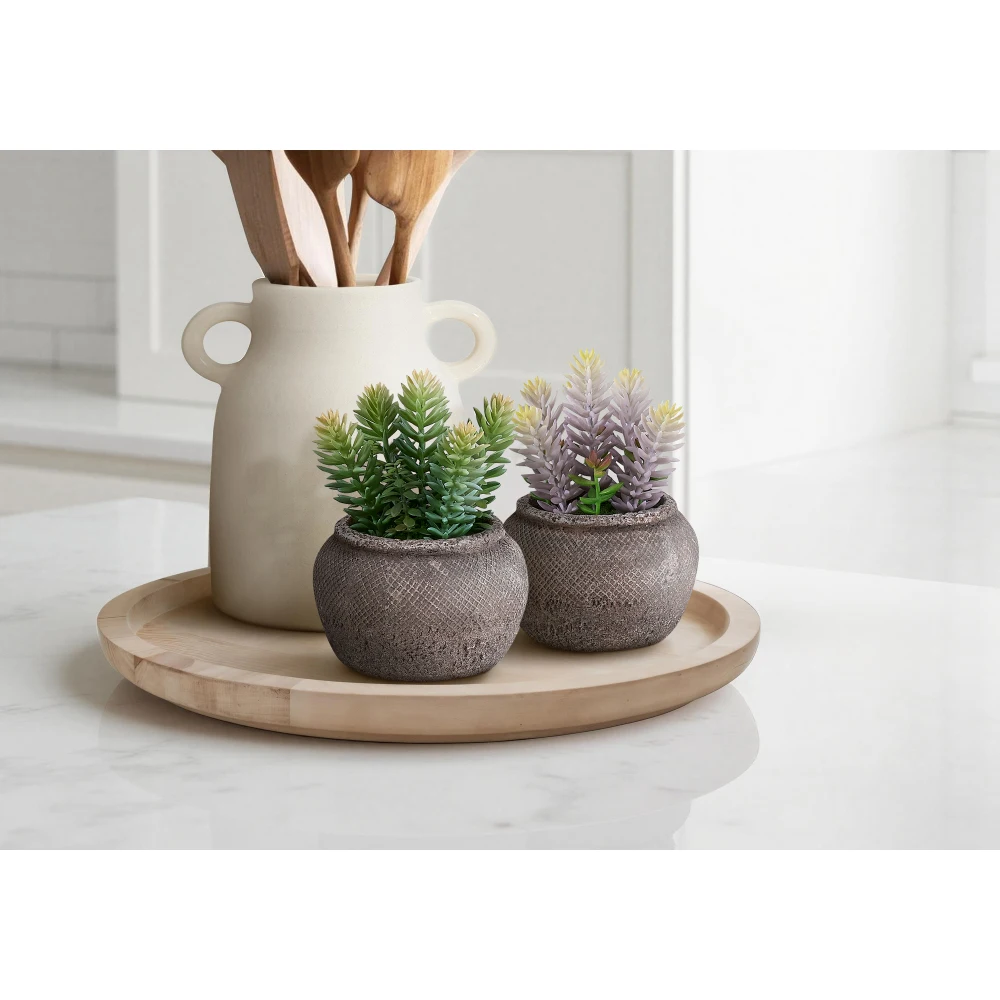 Artificial Plant, Set Of 2, 8" Tall, Succulent, Table, Brown Cement Pots, Contemporary, Modern