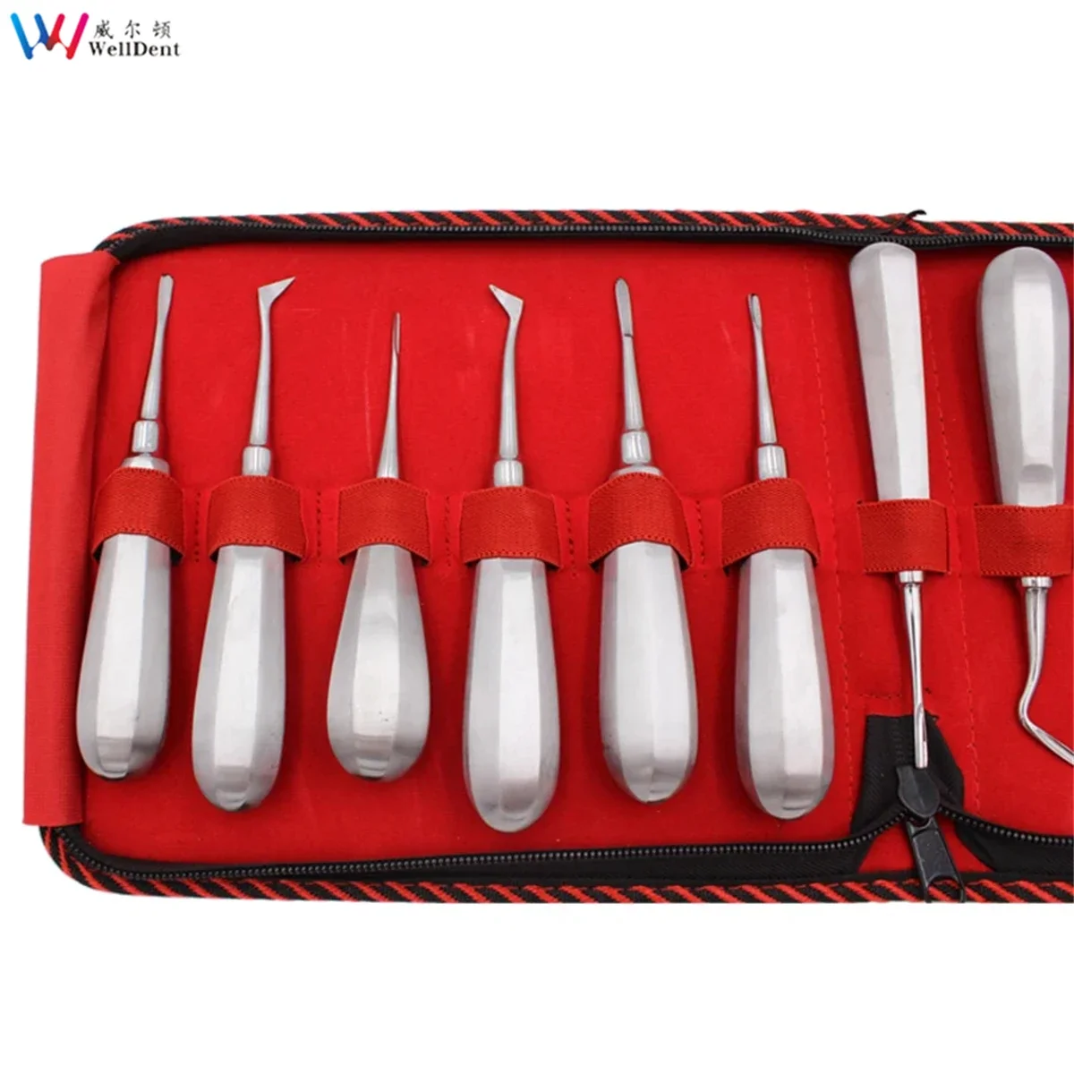 Dental aço inoxidável dente elevador, Kit de ferramentas dentista, reto e curvo, Elevador raiz, Luxating, 13 pcs/set