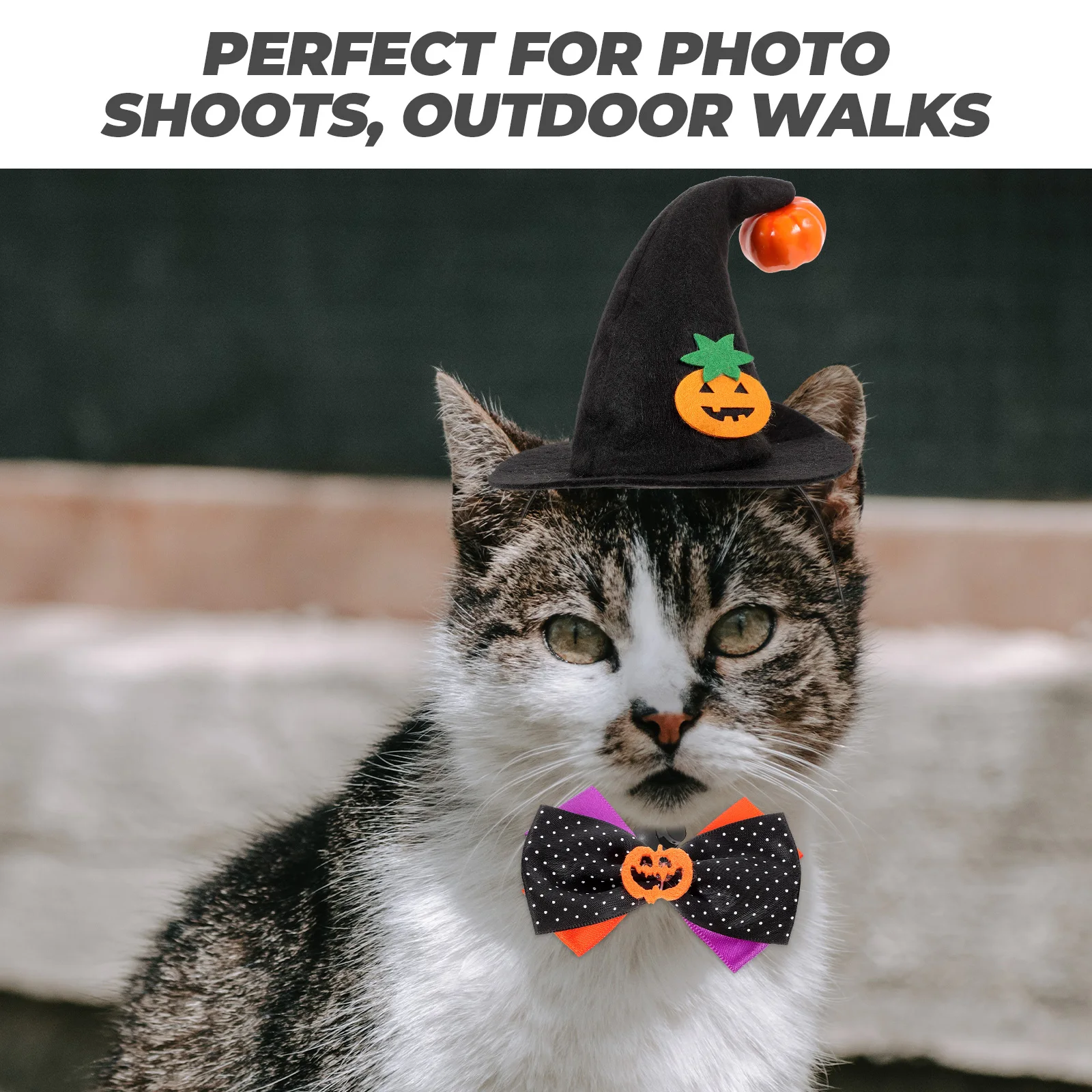 

Pet Pumpkin Hat Halloween Costume for Dog Cat Outfits Cats Cosplay Dress up Kit Costumes Pets Rabbit