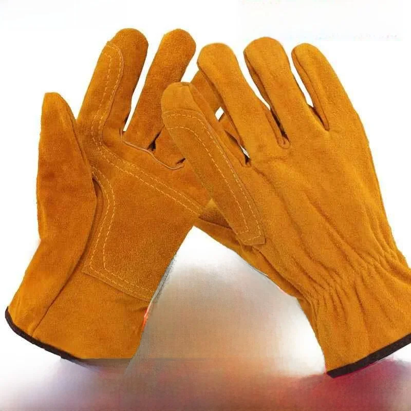 Thiened Training Gl…