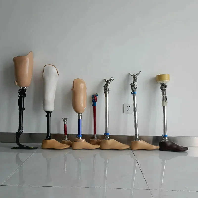 

Artificial Leg Prosthesis Limbs for Below-knee Amputees Lightweight Durable Polypropylene Foot Control Prosthetic Leg