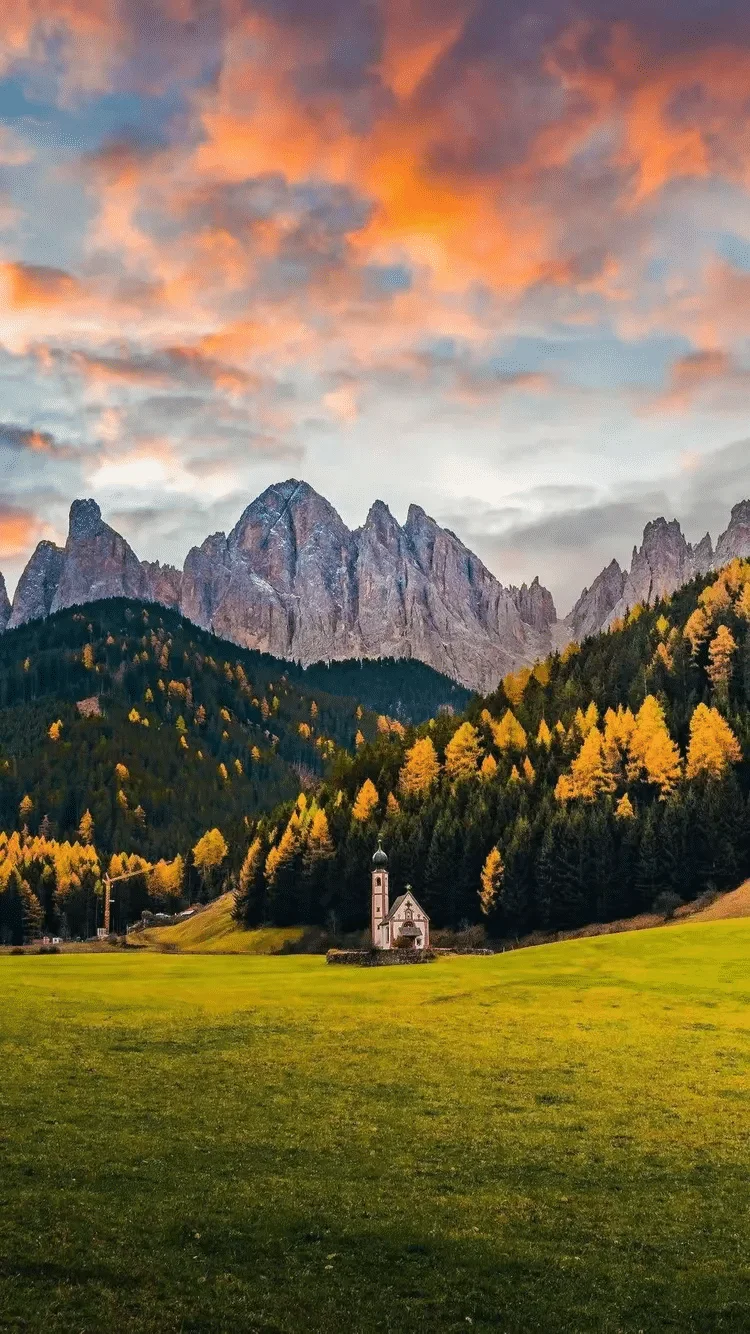 

Специальная ссылка — Специальная ссылка для аукциона по компенсации разницы в цене