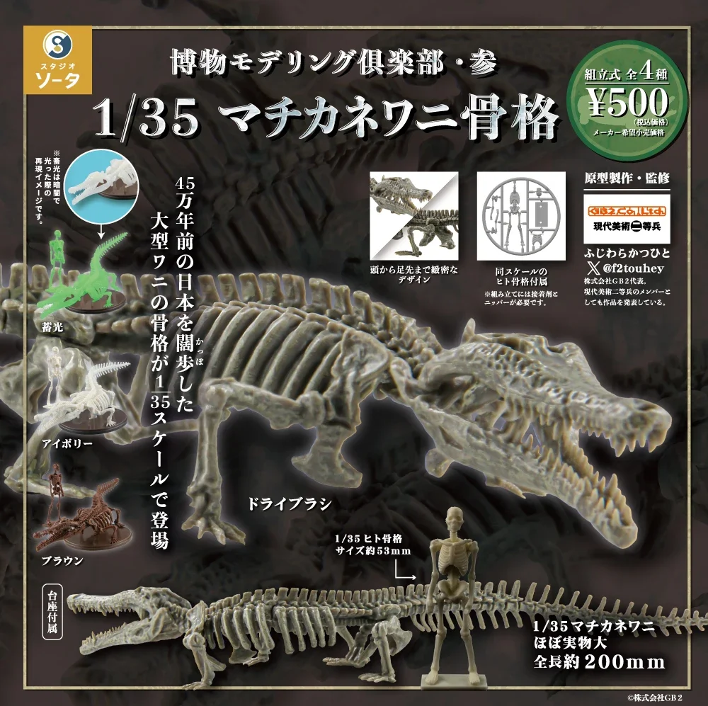 Genuine Gacha Scale Model Museum Simulation Crocodile Skeleton 1/35 Immovable Fossil Model Action Figure Toys