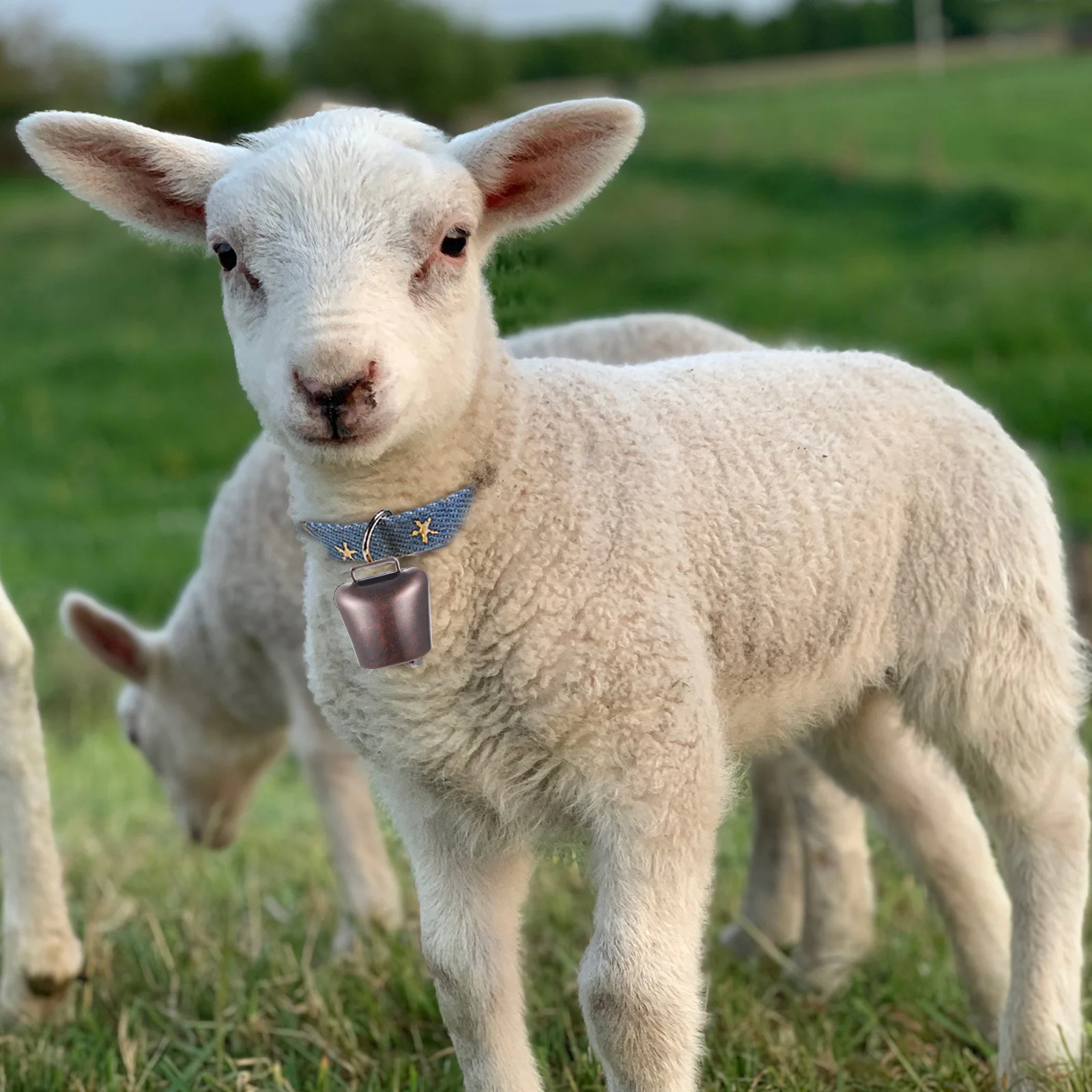 

8Pcs Hanging Grazing Bell Copper Alloy High Quality Noise Making for Livestock Farming Portable Farm Animal Bell