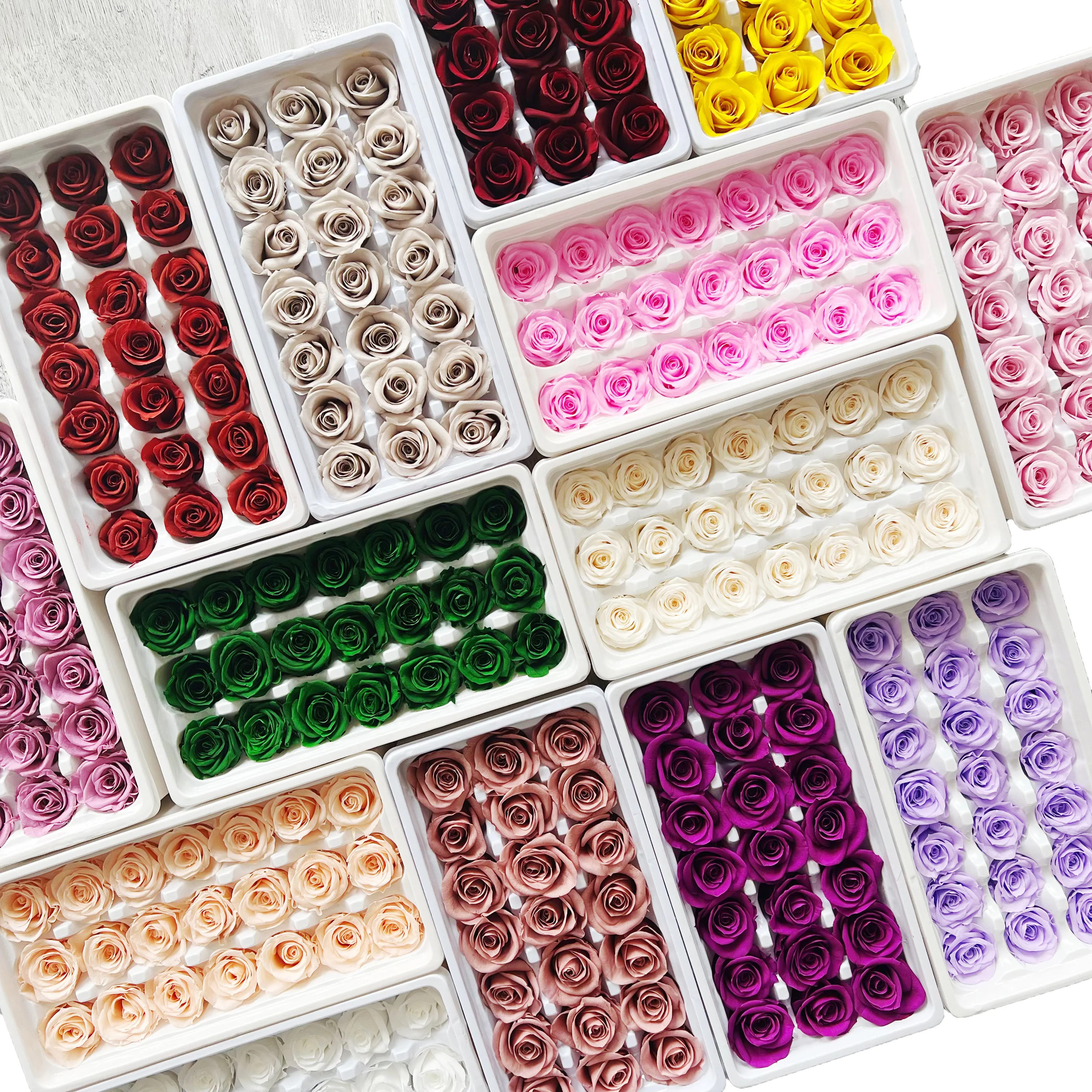 Thumbnail 3 - #66 Trending Dried Flowers Right Now