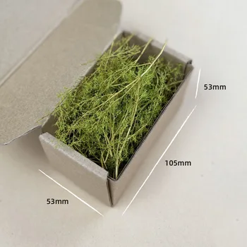 Dry Grass Model Kit Quinoa Plant Diy Military Sand Table Scene Materials for Diorama HO…