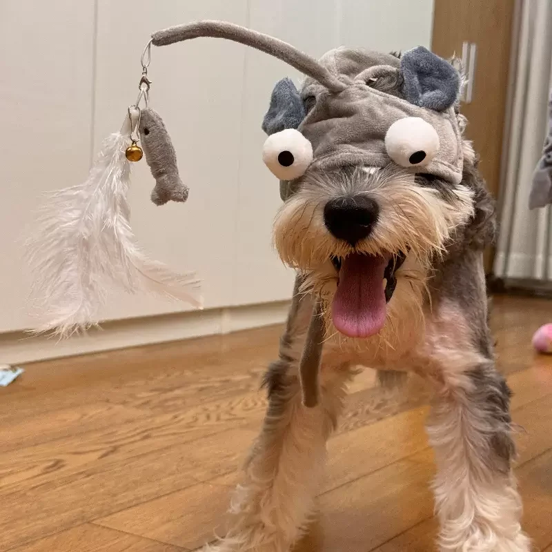 Dog Hat Small and Medium Sized Dog Schnauzer Cat Grey Small Fish Teasing Cat Hat Self Relaxing Tool Pet Supplies Plush Toys