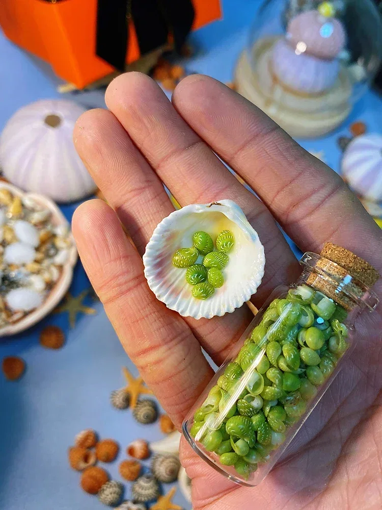 Super Small Super Mini Jade Snail Natural Shell Conch