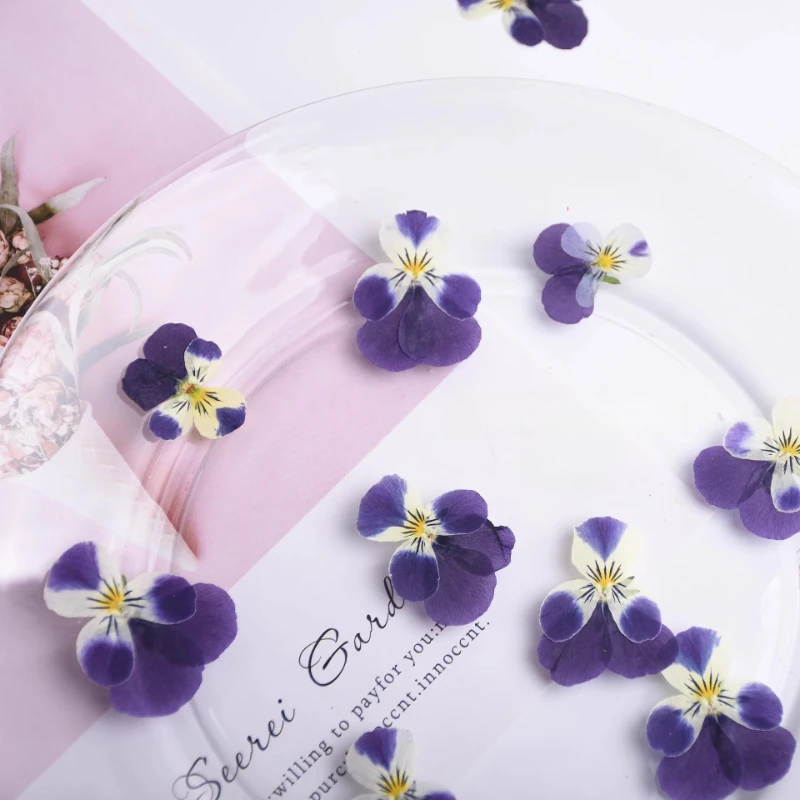 24 Stück, Natur Corydalis getrocknete Blütenblätter Make-up DIY Epoxy Handytasche Grußkarte Lesezeichen Pflanze Fotorahmen Kuchen Dekoration – Detail 5