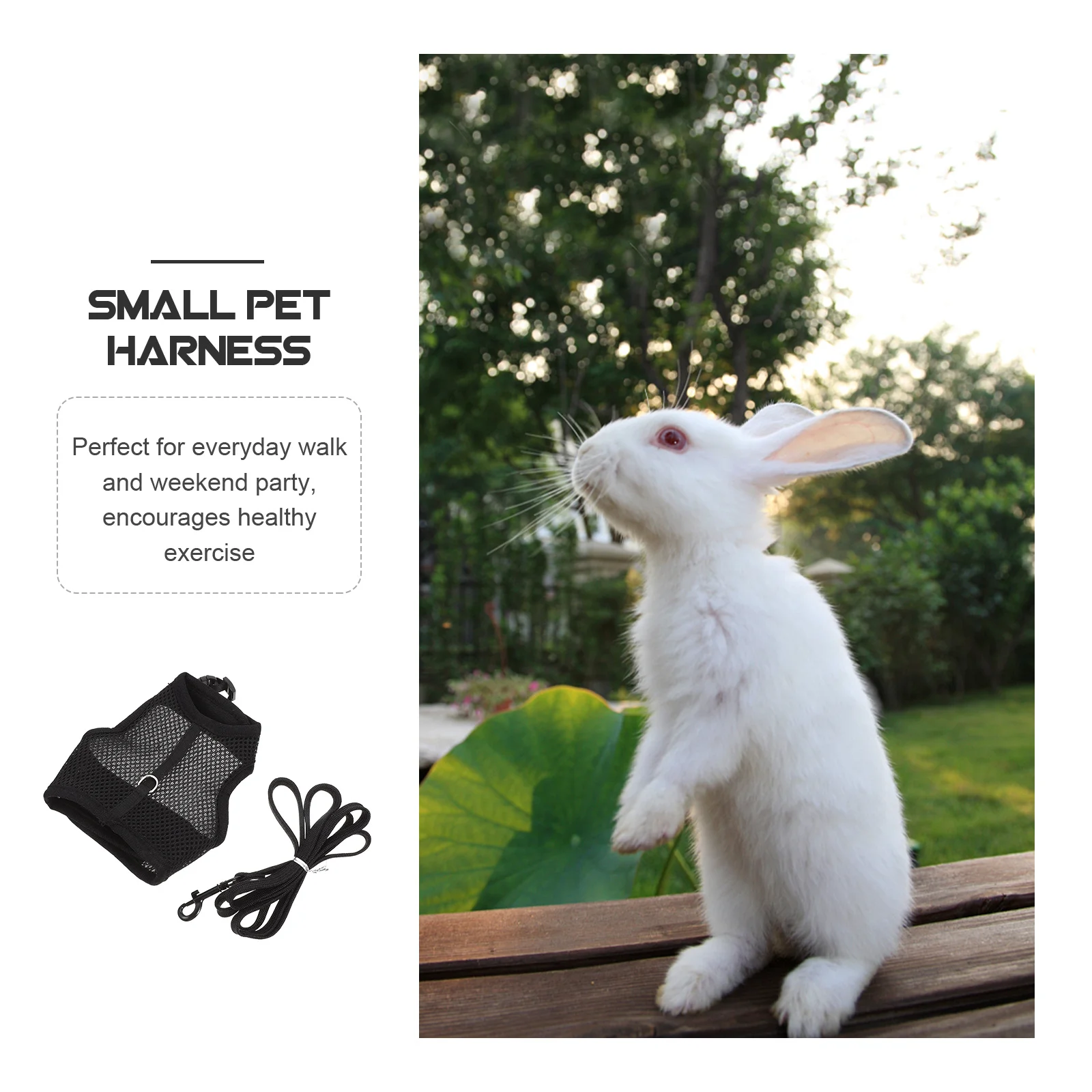 

1Set Bunny Harness Leash Set for Rabbit Breathable Small Pet Vest Lightweight Comfortable Outdoor Walking Daily Exercise Gear