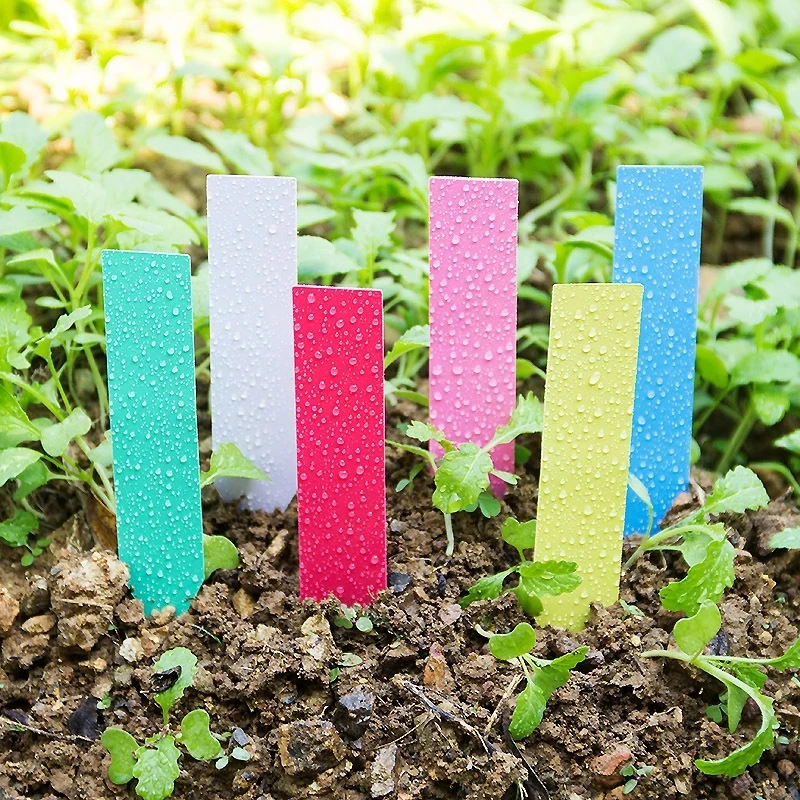 100Pcs Garden Plant Tags Labels Plastic Plant Nursery Markers Flower Pots Seedling Labels Tray Mark DIY Garden Decoration Tools