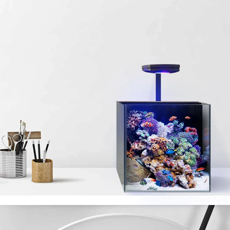 

30 square back filter sea tank package static wind listening to the sea new glass small square coral desktop novice seawater