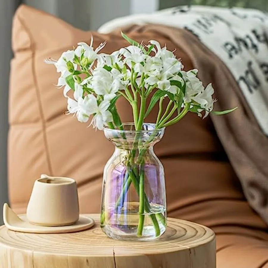 Modern Decorative Glass Flower Vases for Home