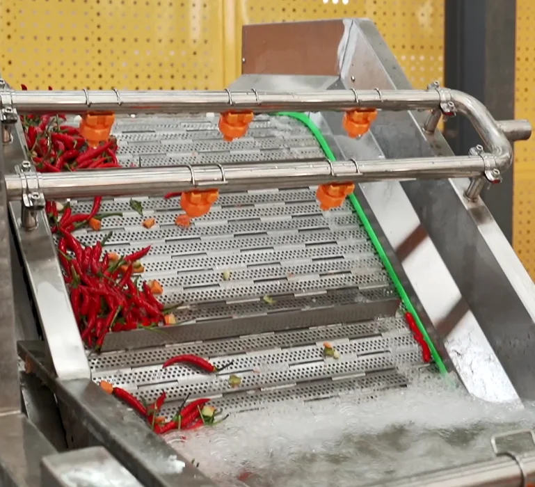 Automatic pepper processing equipment for commercial and industrial use in the production of high-quality chili sauce