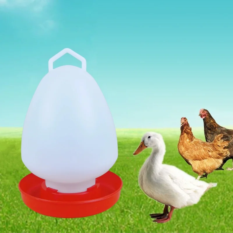 Chicken Drinking Wa… - image