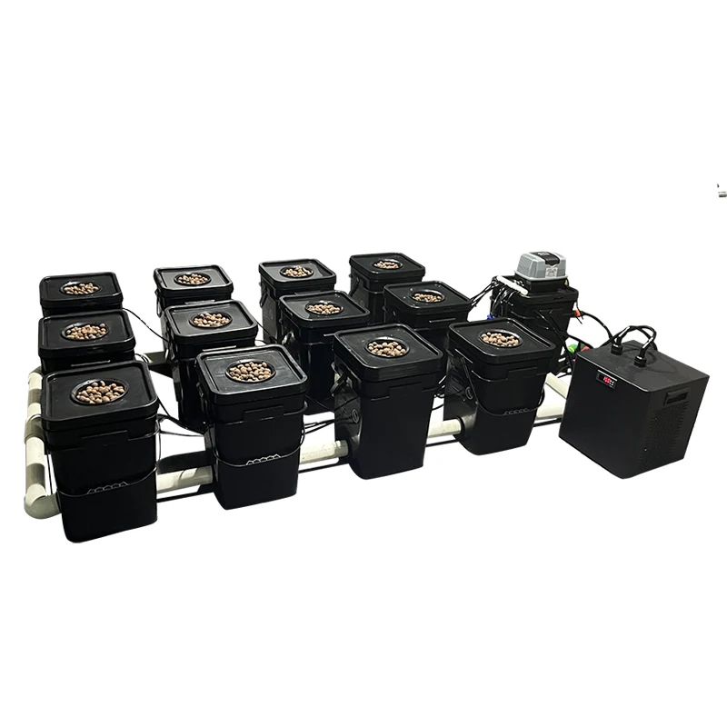 

Recirculating Bucket Hydroponics System 12 Grow Pot System Indoor Hydroponic With Water Chiller