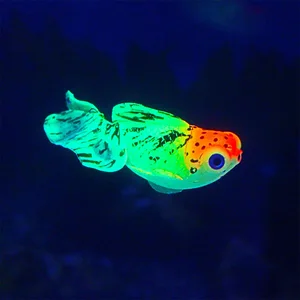 7 en çok satılan balık ve sahte kova-no. 5