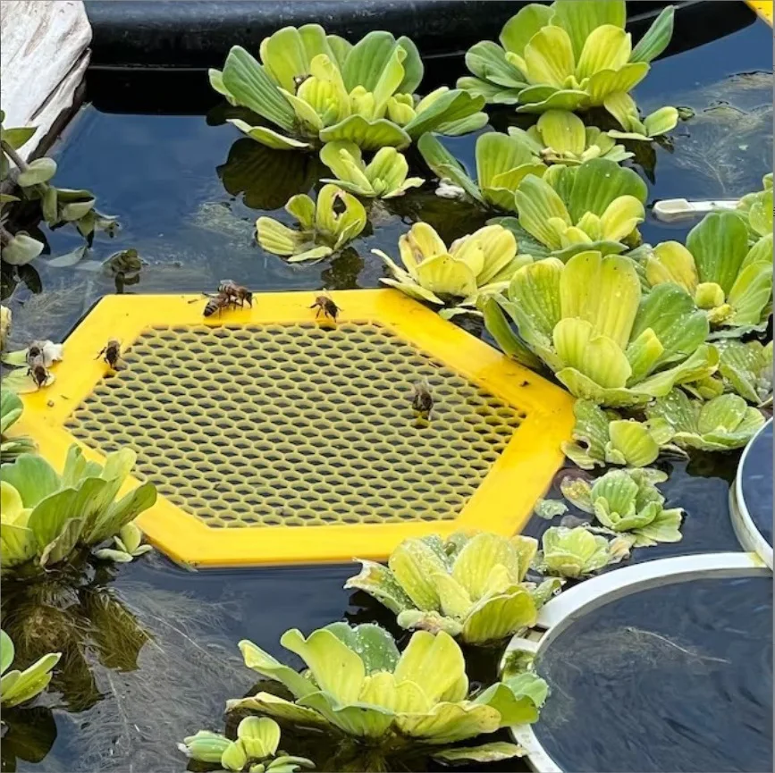 Anti-Drowning Floating Bee Island Waterer - Hexagonal Acrylic Drinking Tray with Luring Cups for Beekeeping