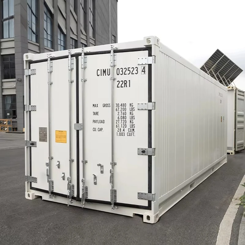 40ft 20ft Walk-in Cold Container Solar Powered Freezer Storage Refrigerated Container Custom