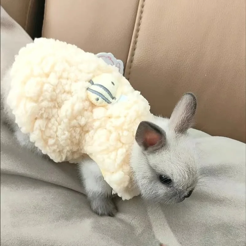 Winter Clothing Newborn - Winter Warm Bunny Rabbit Sweater for