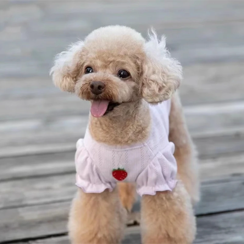 Pets Dogs Cats Supplies Clothes Tops For Small Poodle Puppy Chihuahua Maltese - view 5