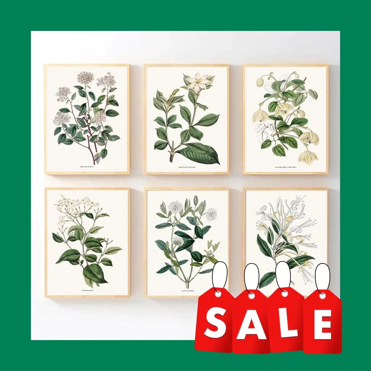Geißblatt & Jasmin – Vintage botanische Spirea-Blumen, rahmenlose Leinwand für Wohnzimmer-Dekoration 2026