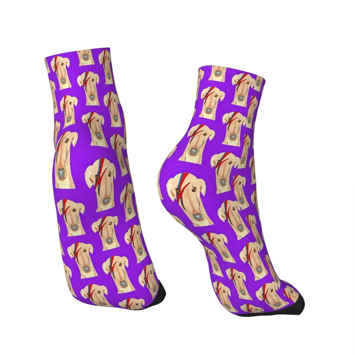 Ziggy Stardog Purple Geryhound Greyhounds Dog Ankle Socks Male Mens Women Autumn Stockings Harajuku