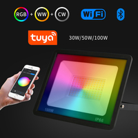 TUYA RGB Floodlight Smart APP Voice Control RGBCW CCT 3000-6500K 30W 50W 100W AC220V-240V For Garden Party Outdoor Lighting