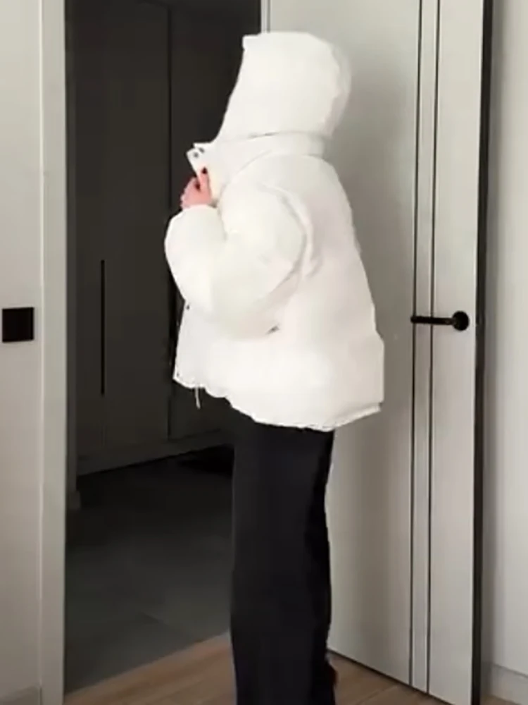 Wendbare, abnehmbare Kapuzenärmel, 2-in-1, wattierte Jacke, Oversized, dick, 2026, neuer Wintermantel, warm, schick, für Büro und Alltag, Damenmantel – Detail 6