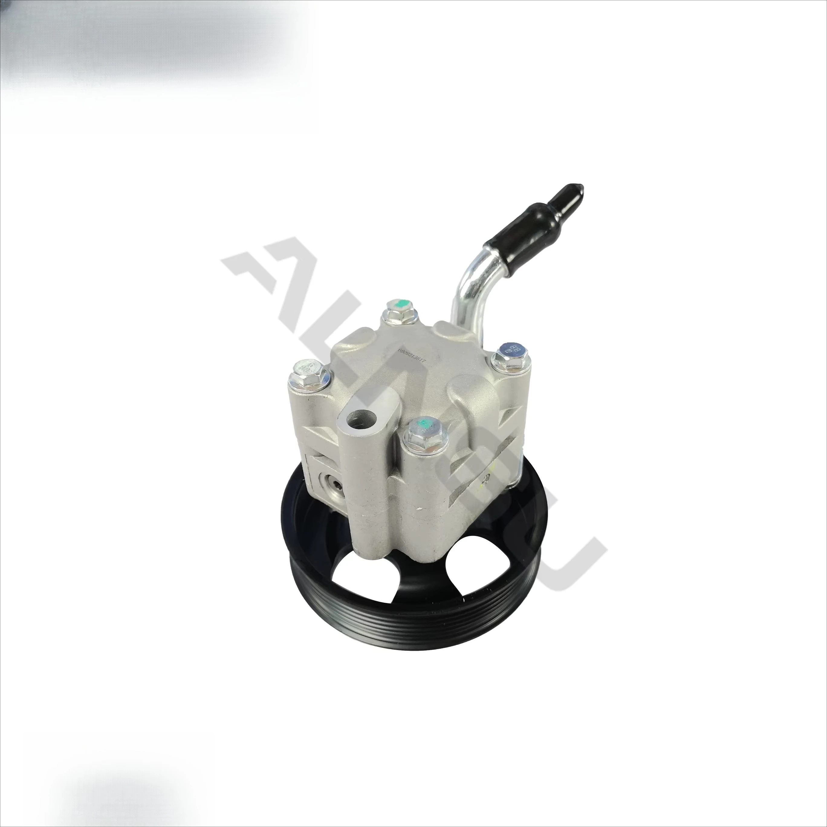 Рисунок 3 - Насос гидроусилителя руля для S51