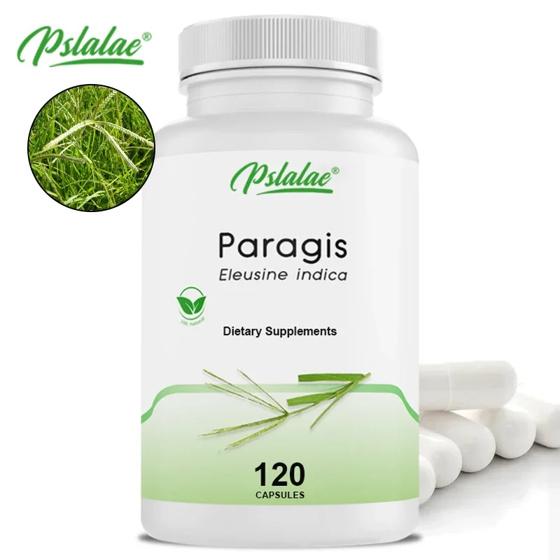 Naturethics Paragis Pregnancy Nutrition PCOS Cyst All-Natural Organic Supplement 120 Capsules Non-GMO