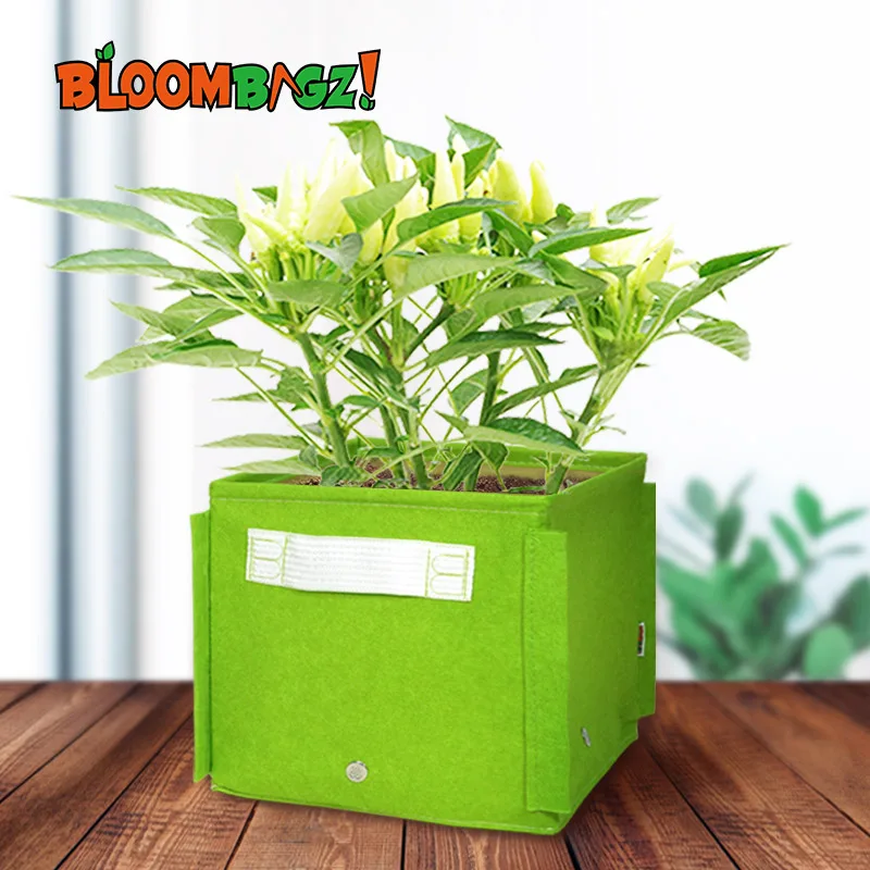 

Square 7Gallon Growing Bag Pepper Grow Bags Planter For Climbing Plants and Vegetables In Green Color