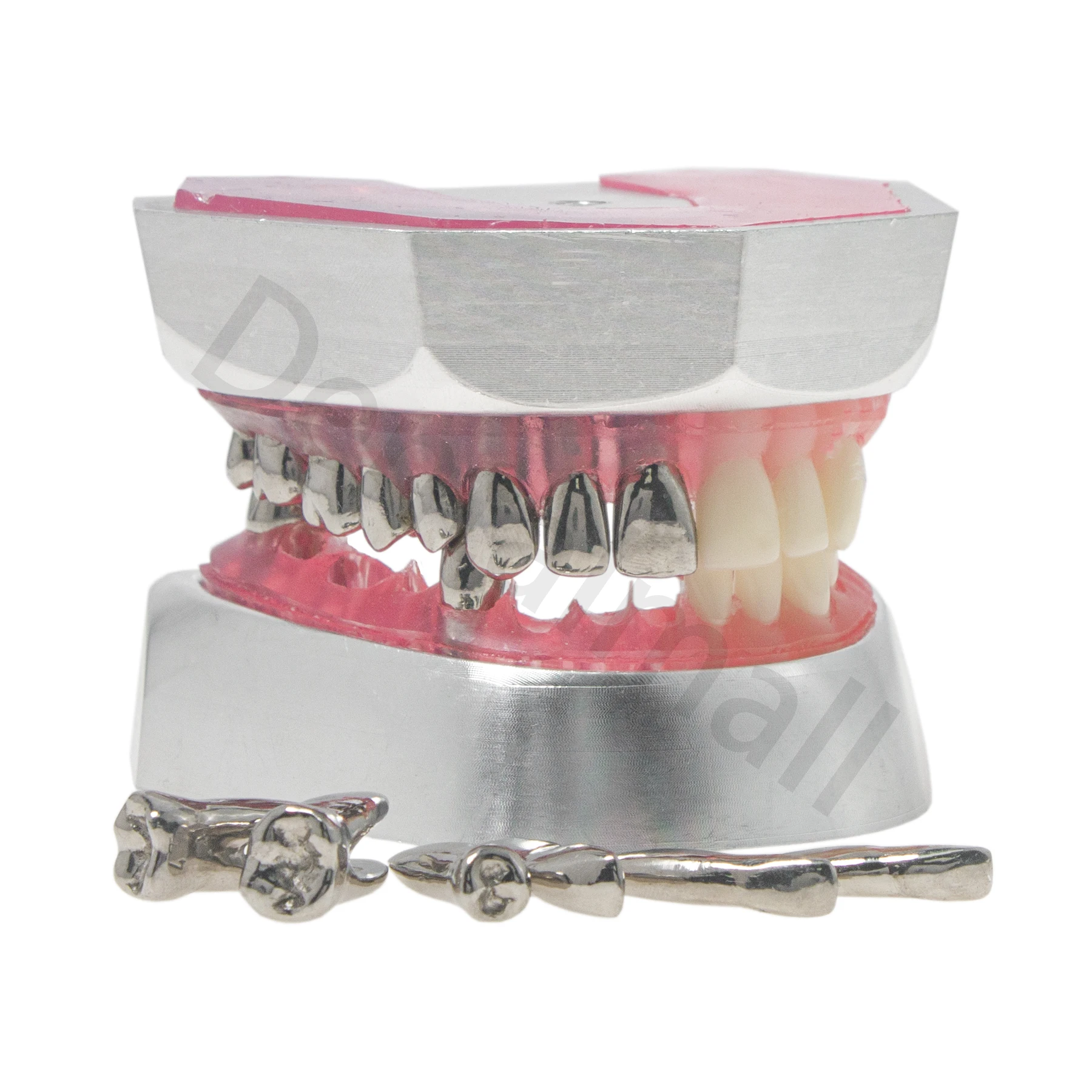 M8028 Dental Typodont Teeth Model Preparation Model 32PCS Detachable Teeth for Training