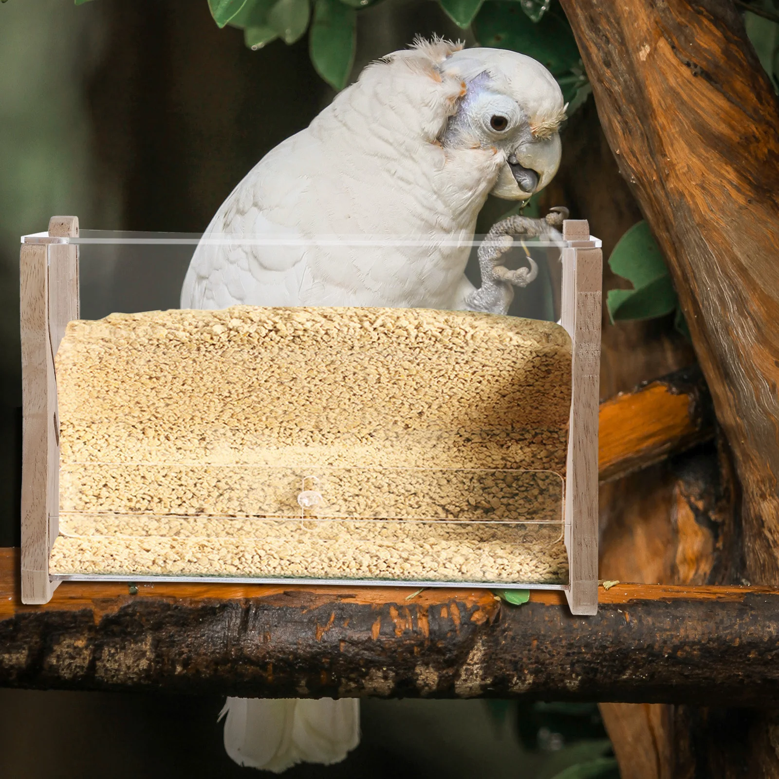 

Automatic Chicken Feeder Durable Bite-Resistant Food Dispenser for Parrot Bird Pet Feeding Trough Outdoor Indoor Use Clear