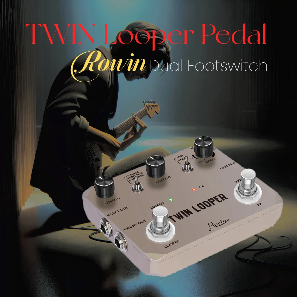 Rowin Twin Looper Station chitarra Dual Footswitch Pedal 11 tipi effetto 10 minuti di registrazione per chitarra chitarra elettrica Bass