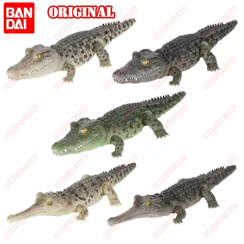 

BANDAI Original Toy Ikemono Taisyou ADVANCE Crocodylus Niloticus Gharial Gacha Gashapon Anime Action Model Figures Collection