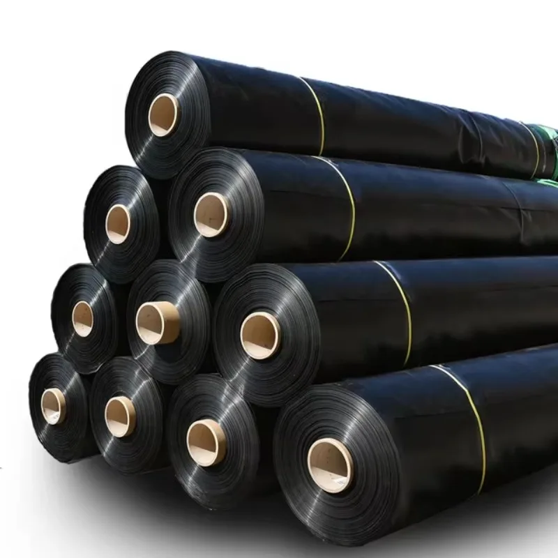 HDPE Waterproof Geomembrane Liner Custom Thickness and Roll Size for Reservoir Landfill and Mining Applications