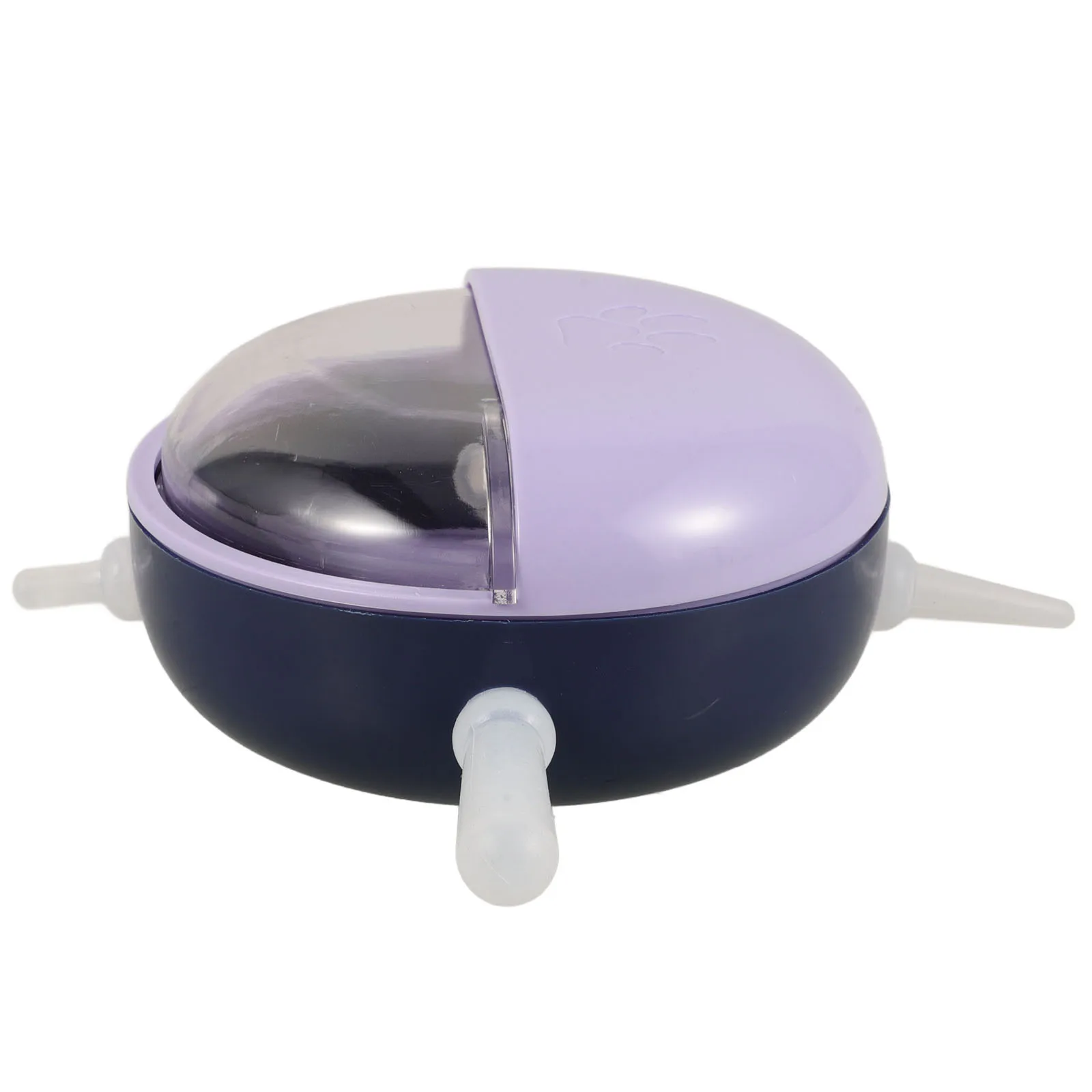 

Bowl Durable Purple Puppy Feeder Design for Cats Dogs Kittens Squirrels Dog Water Bowls Plastic Material