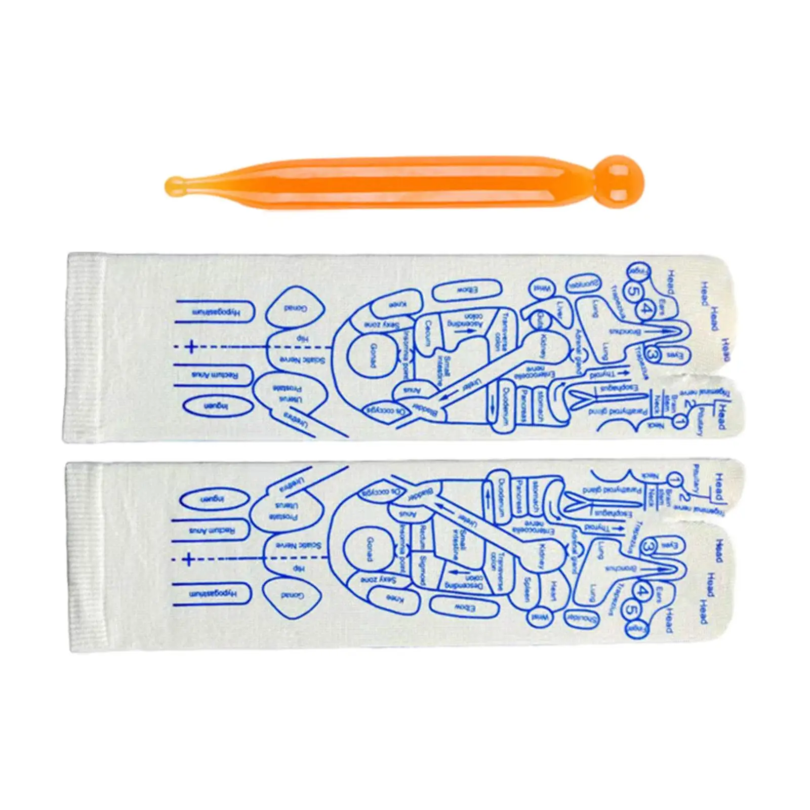 

Foot Massage Socks Reflexology Socks with Marked Zones Point Illustration Socks with Pointing Pen